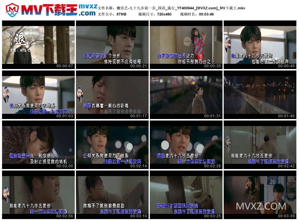 魏佳艺-九十九步退一步_国语_流行_YF400944